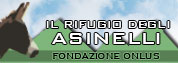 vai a Il Rifugio degli Asinelli